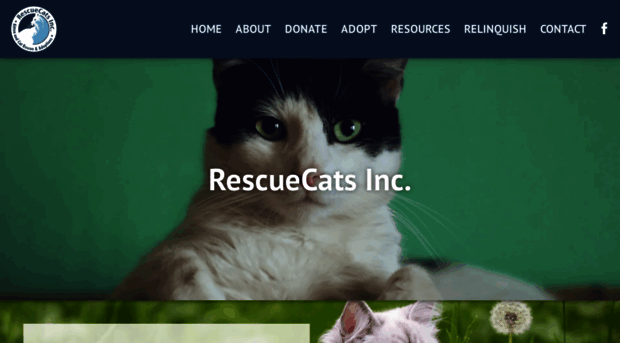 rescuecats.org