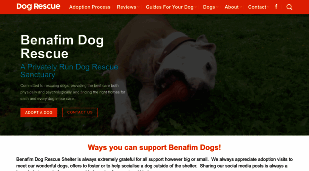 rescuedogs.co.uk