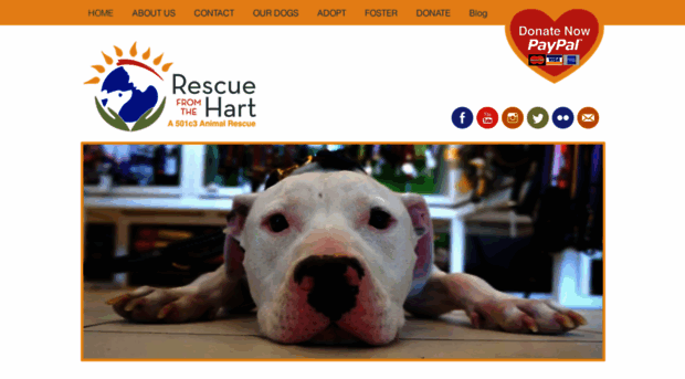 rescuefromthehart.org