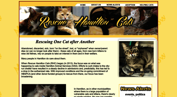 rescuehamiltoncats.com