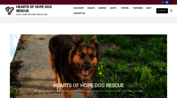 rescueofhope.com