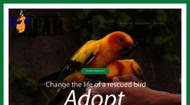 rescueparrots.org