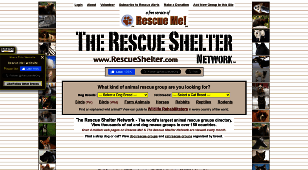 rescueshelter.com