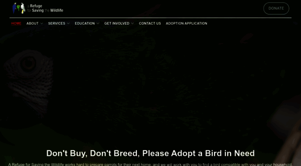 rescuethebirds.org