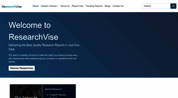 researchvise.com