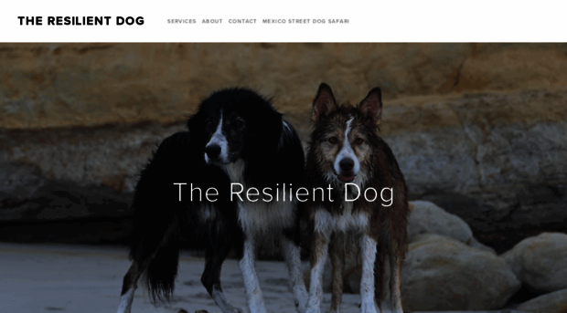 resilientdogs.com