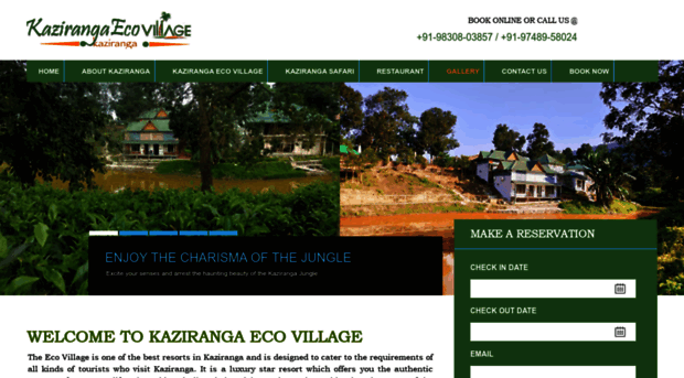 resortinkaziranga.com