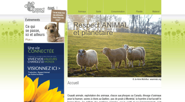 respect-animal.ca