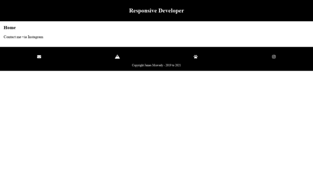 responsivedeveloper.com