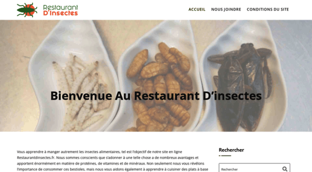 restaurantdinsectes.fr