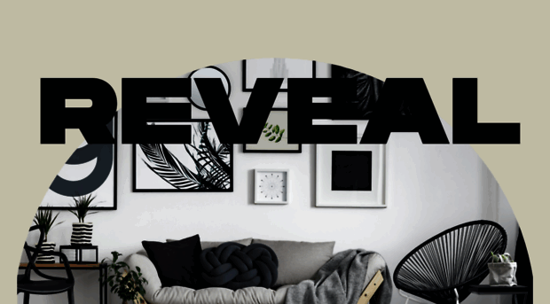 retail-reveal.com