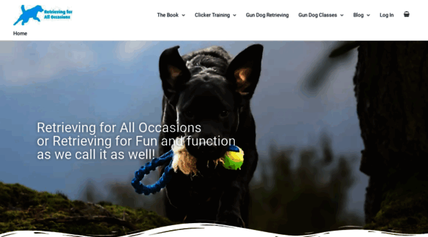 retrievingforalloccasions.com