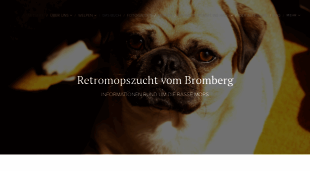 retromopszucht-vom-bromberg.com