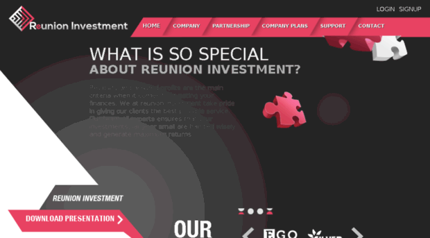 reunioninvestment.net