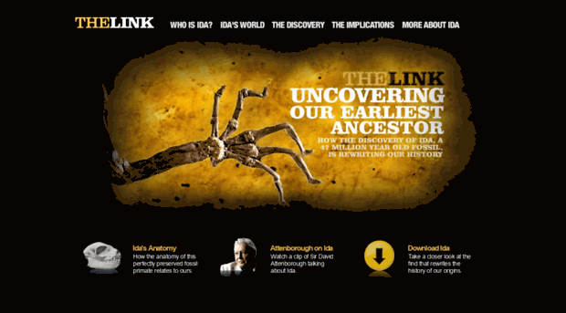 revealingthelink.com