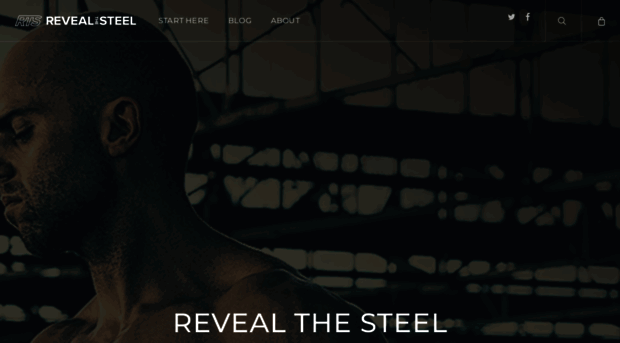 revealthesteel.com