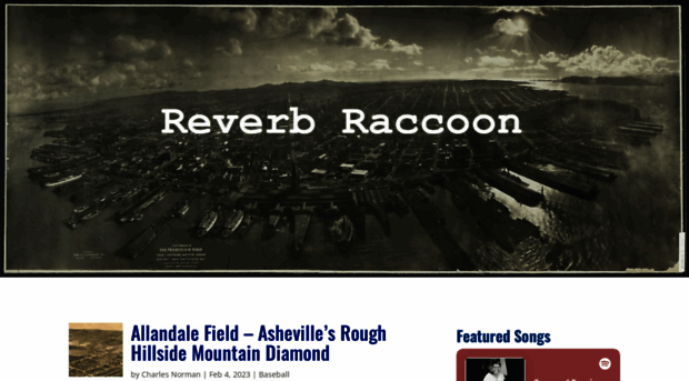 reverbraccoon.com