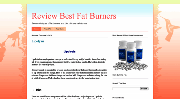 reviewbestfatburners.blogspot.com