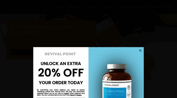 revivalpointllc.com