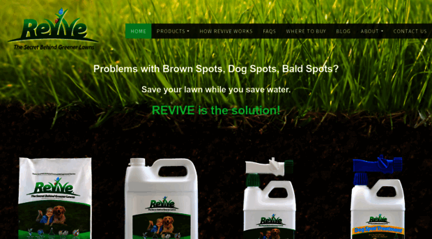 revive.com