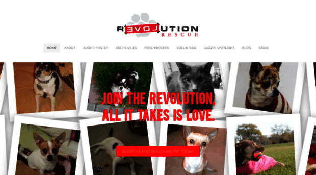 revolutionrescue.com