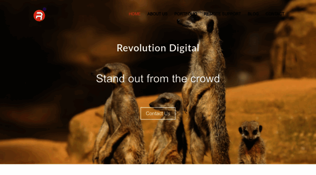 revolutionweb.com.au