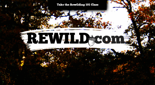 rewild.com