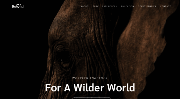 rewildafrica.org