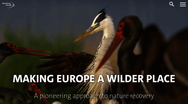 rewildingeurope.com