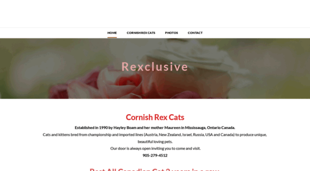 rexclusive.com