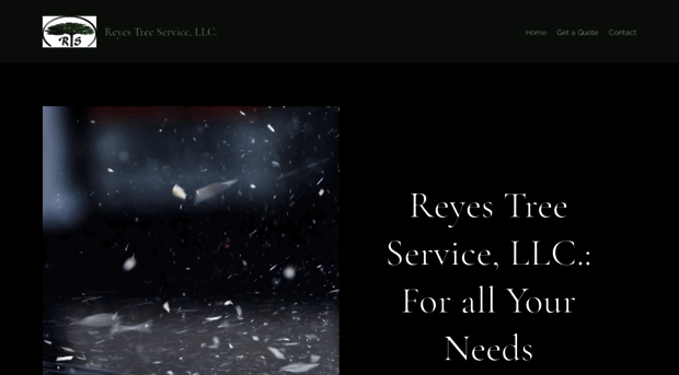 reyestreeservicellc.com