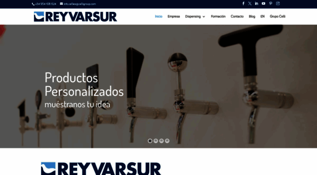 reyvarsur.com