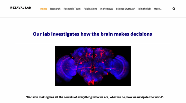 rezavallab.org