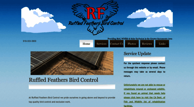 rfbirdcontrol.com