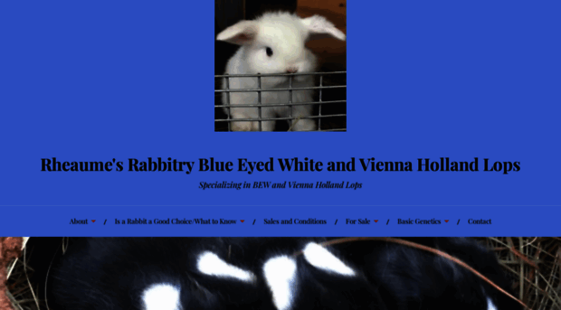 rheaumesrabbitry.com