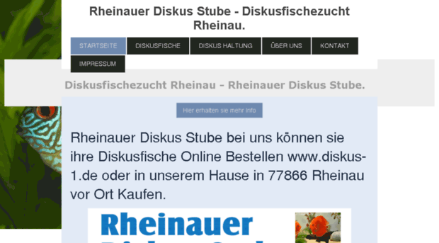 rheinauerdiskusstube.com