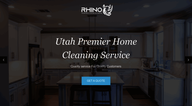 rhinohomecleaning.com