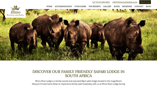 rhinoriverlodge.co.za