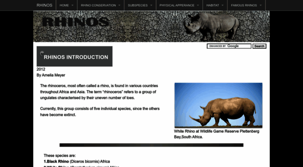 rhinosinfo.com