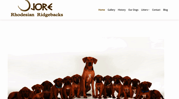 rhodesian-ridgeback-puppies.co.uk