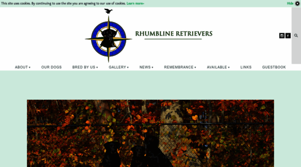 rhumblineretrievers.com