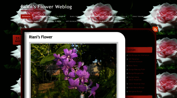 rianiflower.wordpress.com
