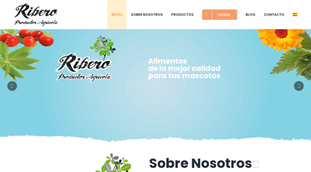 riberosat.com