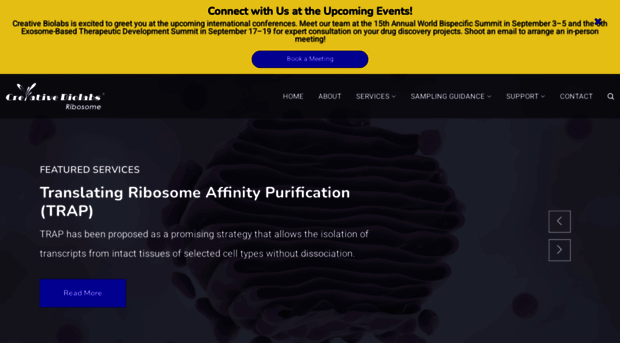 ribosome.creative-biolabs.com