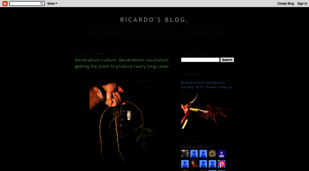 ricardogupi.blogspot.com