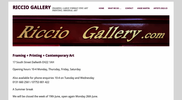 ricciogallery.com