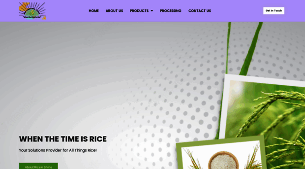 rice-n-shine.com