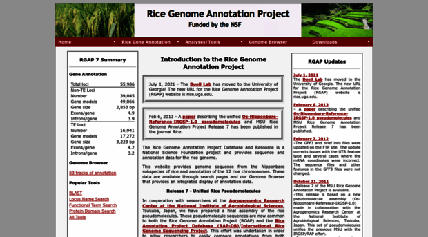 rice.plantbiology.msu.edu