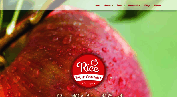ricefruit.com