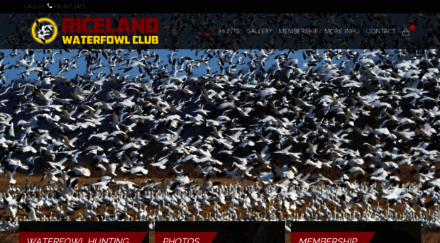 ricelandwaterfowlclub.com